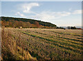NH6853 : Harvested fields, by Wood Hill by Craig Wallace