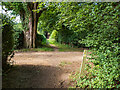 Footpath towards Digswell