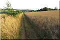 Heart of England Way descending into Blockley