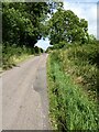 Farm road and footpath