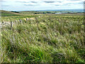 Footpath from Slade to Haigh Cote, Cold Edge