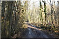 Bridleway, New Years Wood