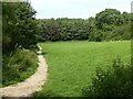 Footpath off Surgeys Lane