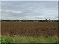 Field near Woollas Hall Farm