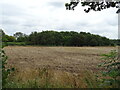 Stubble field towards woodland, Besford Bridge Farm