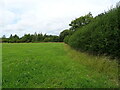 Footpath off Crabbe Lane