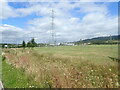 Recreation ground with a pylon