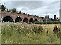 NS5964 : Railway viaduct by Richard Sutcliffe