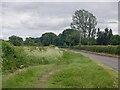 NY4757 : Wide verges, Little Corby by Richard Webb