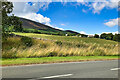 Fields west of the A710 near Drumburn