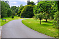 Driveway to Threave Garden