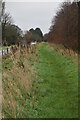 Royal Military Canal Path