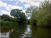 SO5269 : River Teme near Barrett's Mill by Richard Webb