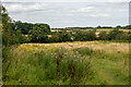 SK3617 : An empty field in the Money Hill region, Ashby-de-la-Zouch by Oliver Mills