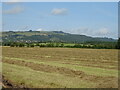 SP0237 : Cut silage field off Winchcombe Road (B4078) by JThomas