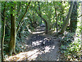 Muddy footpath, Langley Green, Crawley