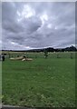 Grey clouds over Eastington, Gloucestershire