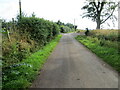 Minor road near to Mains of Woodstone