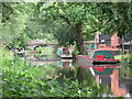 Basingstoke Canal Woking