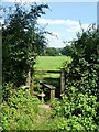 Stile between Ford and Holcombe Rogus