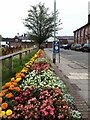 Floral display, Market Square, Congleton