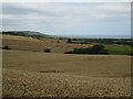 Fields near Ellerby