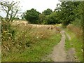 Bridleway near Trowell