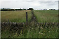 SK3066 : Field boundary by Beeley Lane by Bill Boaden
