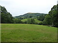 On a footpath in a field just above the Afon Carno at Clatter