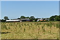 Pasture and farm buildings at Whitegate Farm, Creeting St. Mary