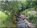 NY1701 : Whillan Beck from the mill bridge by David Medcalf