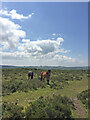 Ponies on Open Access Land near Belowda Beacon Trig Point