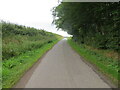 Hedge and Wood enclosed road near to Poole