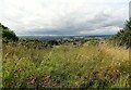 View over Blackhill