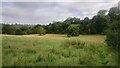 Field north of Fredley Manor