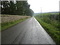 Wall, trees and hedge-lined road heading towards Farnell