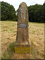 SP9307 : Commemorative Stone Pillar at Cholesbury Common by David Hillas