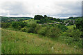 Hillside above Stoke Brook