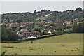 Friston