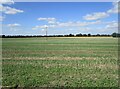 Stubble field near Toneham Farm