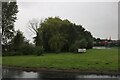 Trees by Main Road, Twycross