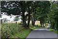 Trimpley Lane south of Shatterford, Worcestershire