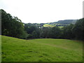 Early evening scene above Clatter in late summer