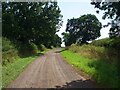 Bridleway near Averham Park