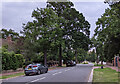 On Broad Walk looking towards the mini-roundabout at the junction with Woodcroft