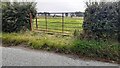 Field gateway on south side of road east of Whittaker Hill