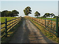 Track to the A59