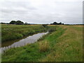 River Rye near Ryton