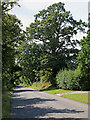 Lane to Trimpley Reservoir in Worcestershire