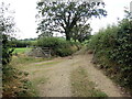 Llwybr ceffyl ger Green Grove / Bridleway near Green Grove